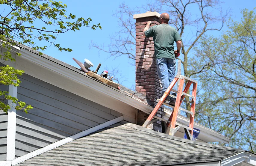 Chimney & Fireplace Inspections Services in Belvidere, IL
